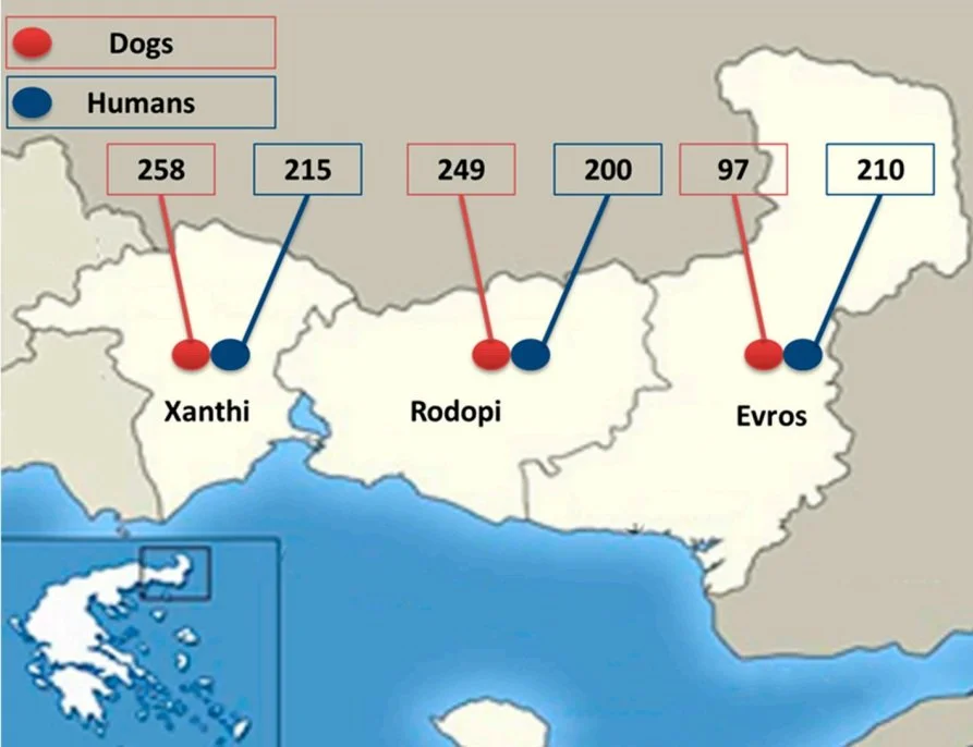 Screenshot+2024-08-31+102633